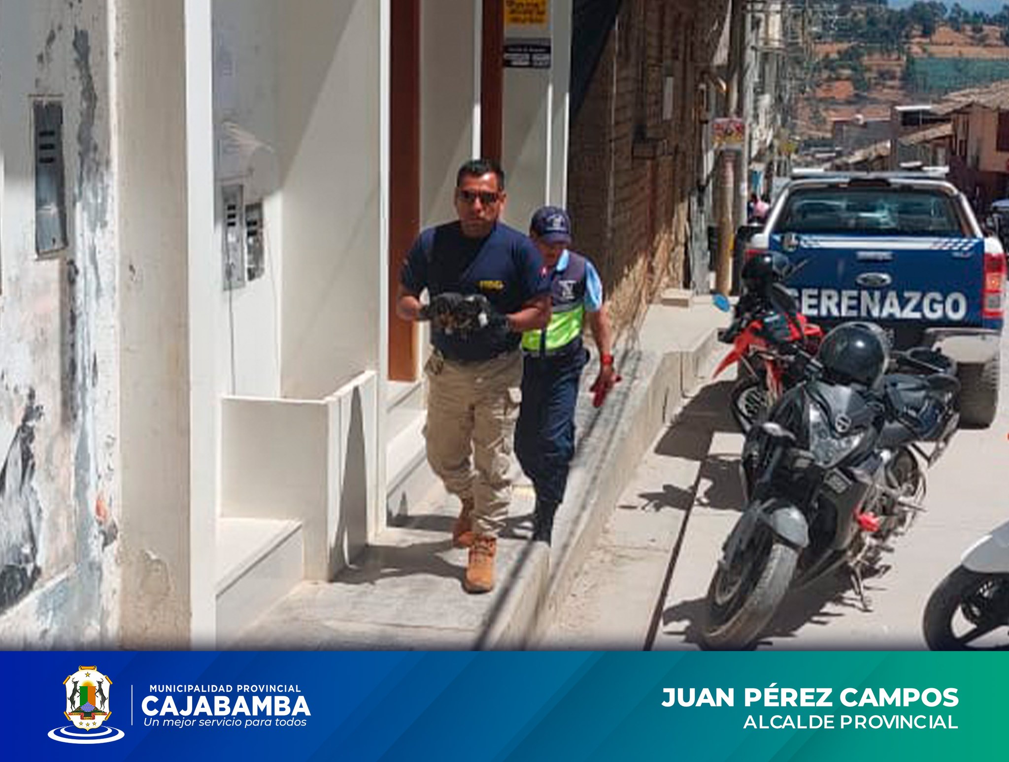 Rescatan Cachorros Indefensos