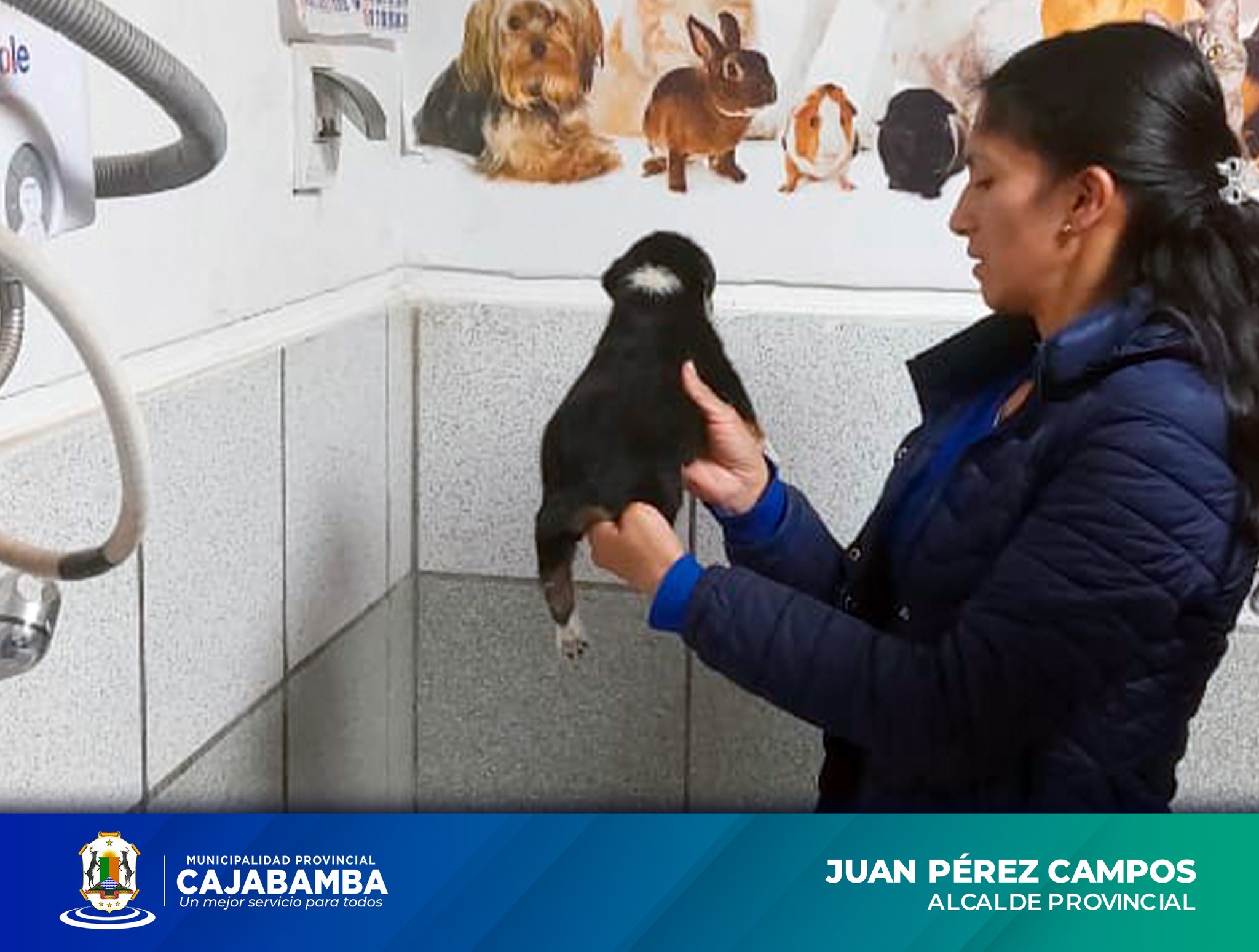Rescatan Cachorros Indefensos