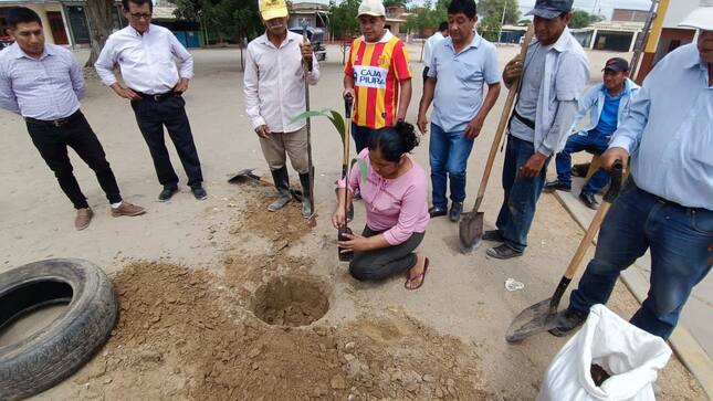 Municipalidad De Sullana Realiza Forestación En La Plaza Principal De La Villa Huangalá
