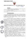Vista preliminar de documento 316-2019-GRSM-PEAM-01.00  