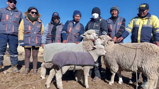 foto grupal