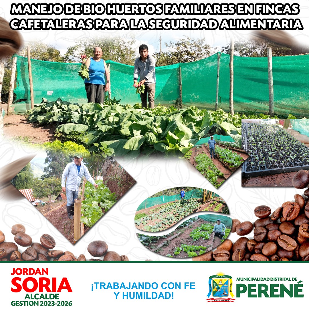 Desarrollo Económico con el apoyo de nuestros ingenieros del PROYECTO CAFÉ