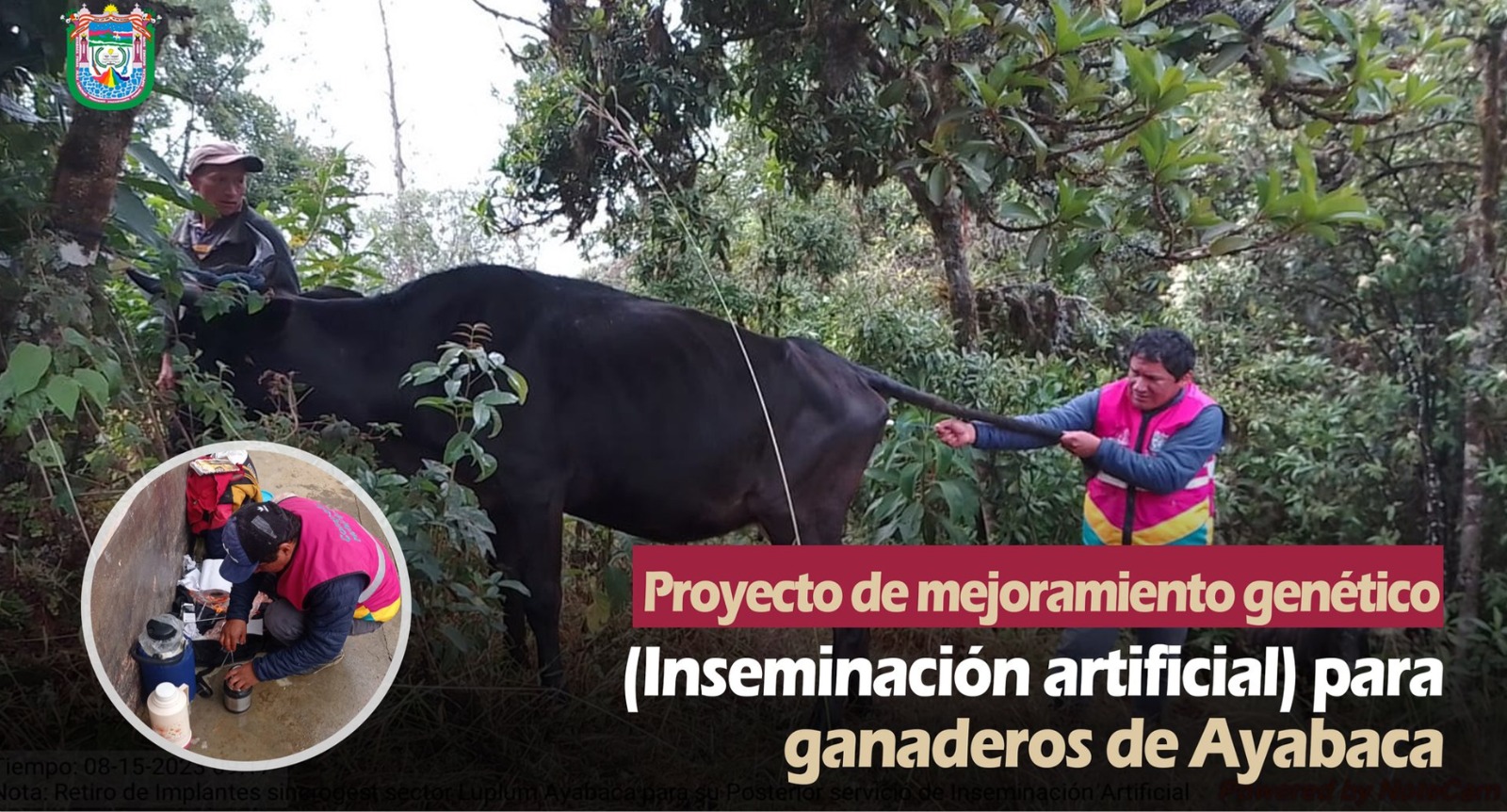 Continue el Proyecto