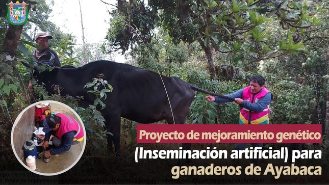 Continue el Proyecto