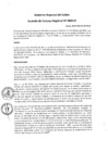 Vista preliminar de documento Acuerdo del Consejo Regional N° 019-2014LqWaL