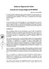 Vista preliminar de documento Acuerdo del Consejo Regional N° 042-2013qZsy8