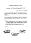 Vista preliminar de documento Acuerdo del Consejo Regional N° 051-2010ij5Hh