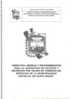 Vista preliminar de documento DIRECTIVARENDICIONVIAJES