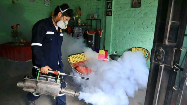 INS advirtió que incremento de la temperatura por el cambio climático favorece la propagación y expansión del zancudo transmisor del dengue