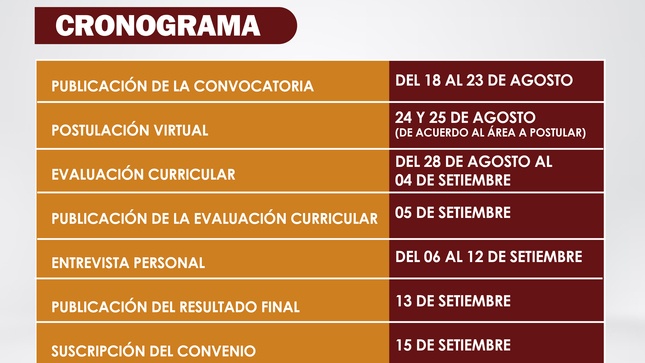 Cronograma del Segundo Concurso Virtual para Prácticas Profesionales en el PEOT