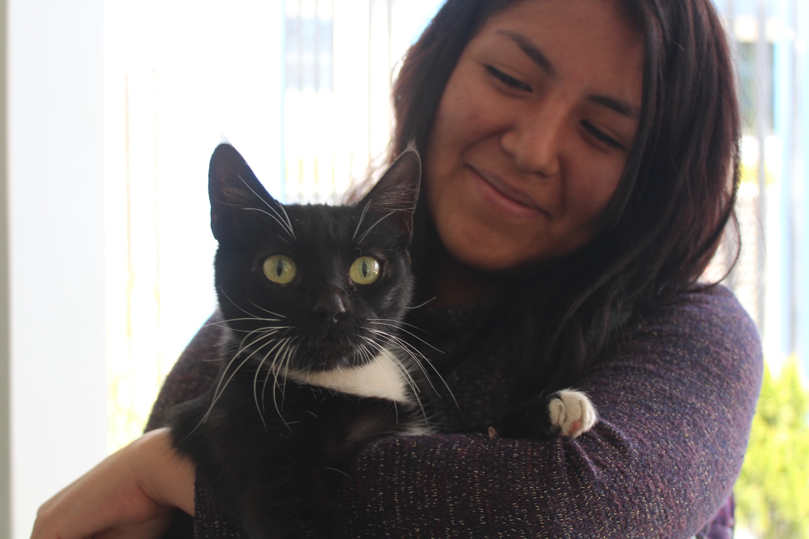 Con la finalidad de promover la salud y el bienestar felino