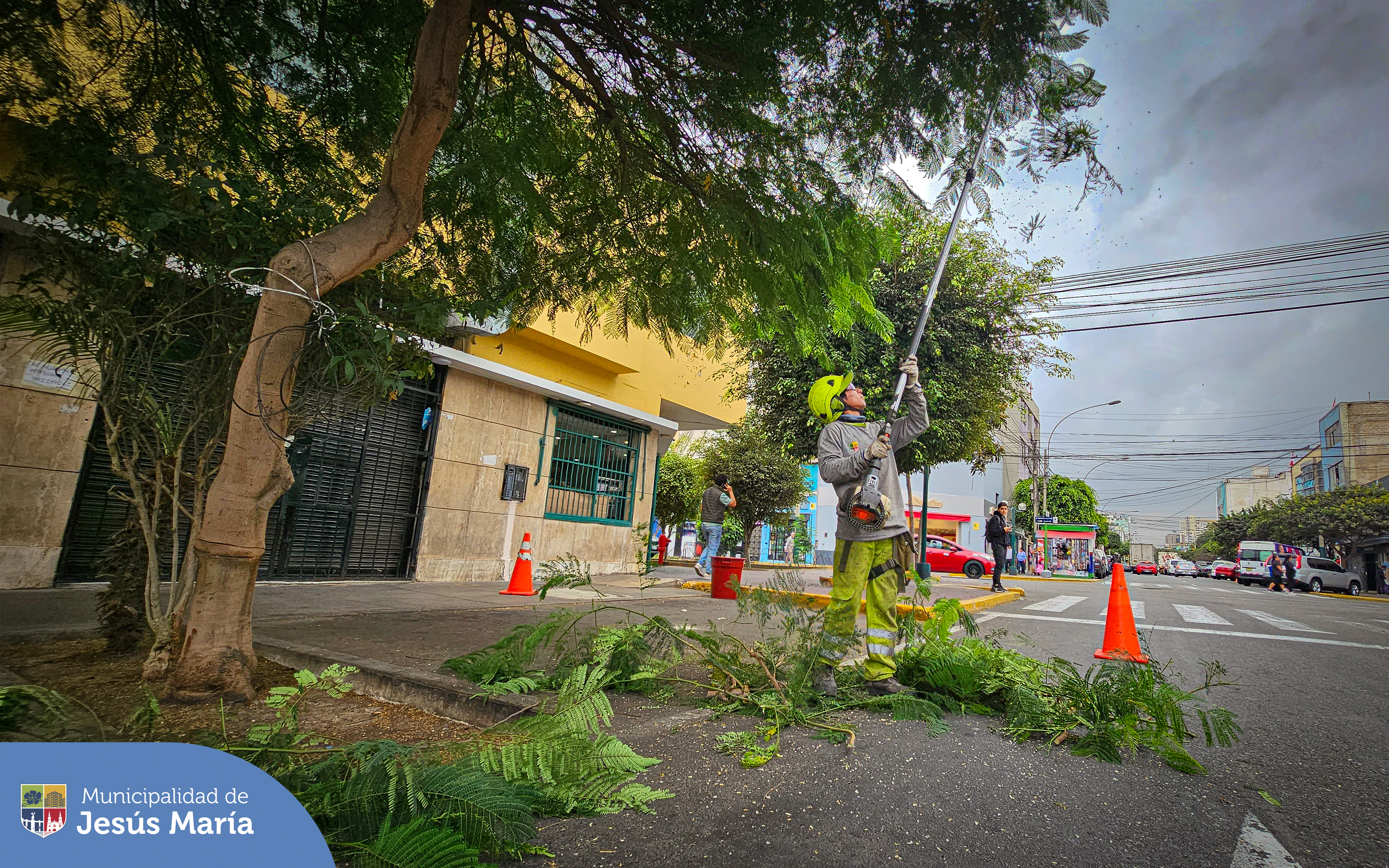 El equipo de la Subgerencia de Limpieza Pública 🧹 y Áreas Verdes 🌳 continuamente vienen trabajando en el ordenato, mantenimiento y recuperación de arboles urbanos de nuestro distrito.
En Jesús María queremos ¡Espacios seguros y atractivos para todos! 🙌🏼
#JesúsMaríaSomosTodos