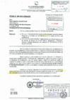 Vista preliminar de documento INFORME DE ACCION DE OFICIO DECLARACIONES JURADAS