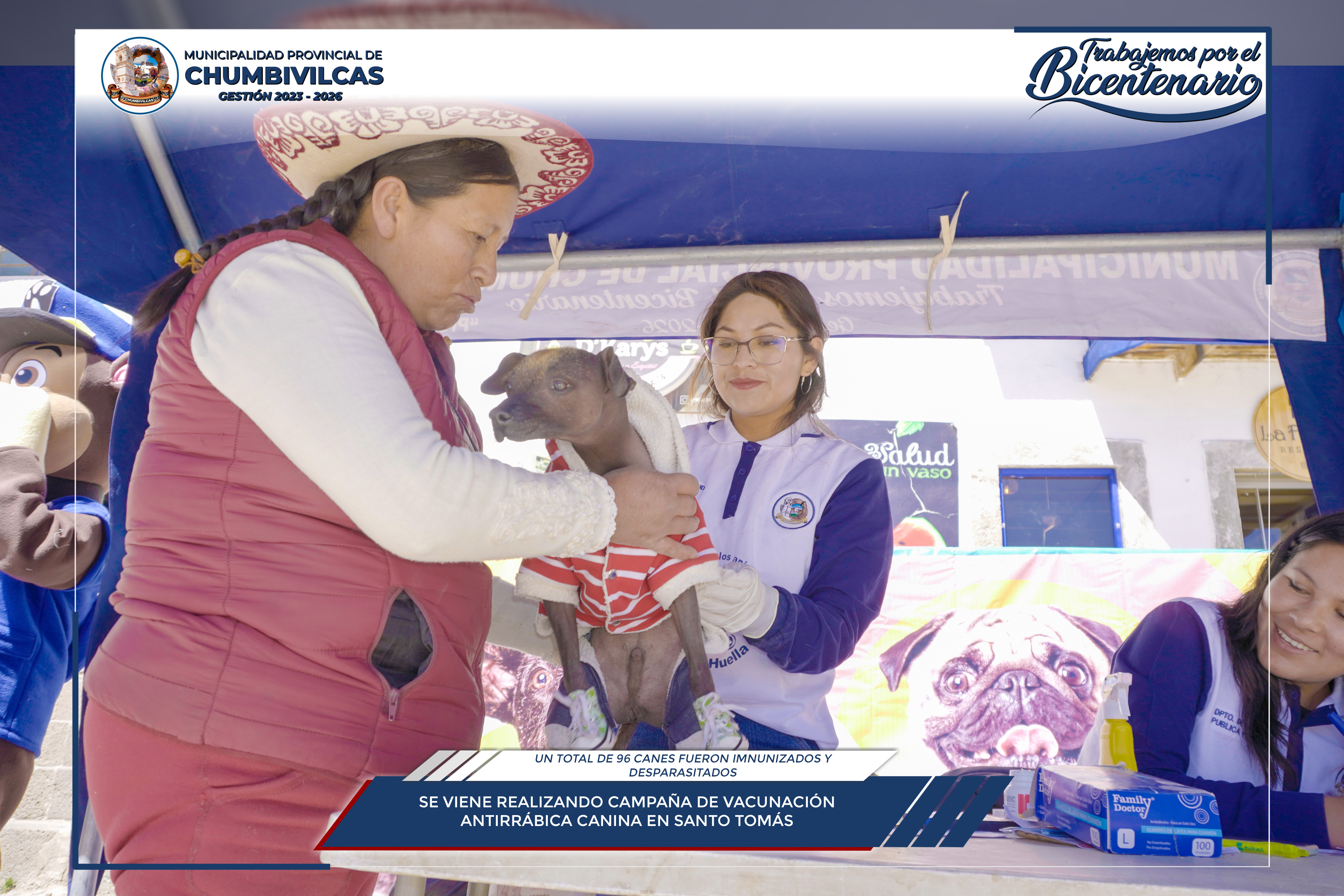 Chumbivilcas realiza campaña de vacunación antirrábica y desparasitación canina en el distrito de Santo Tomás