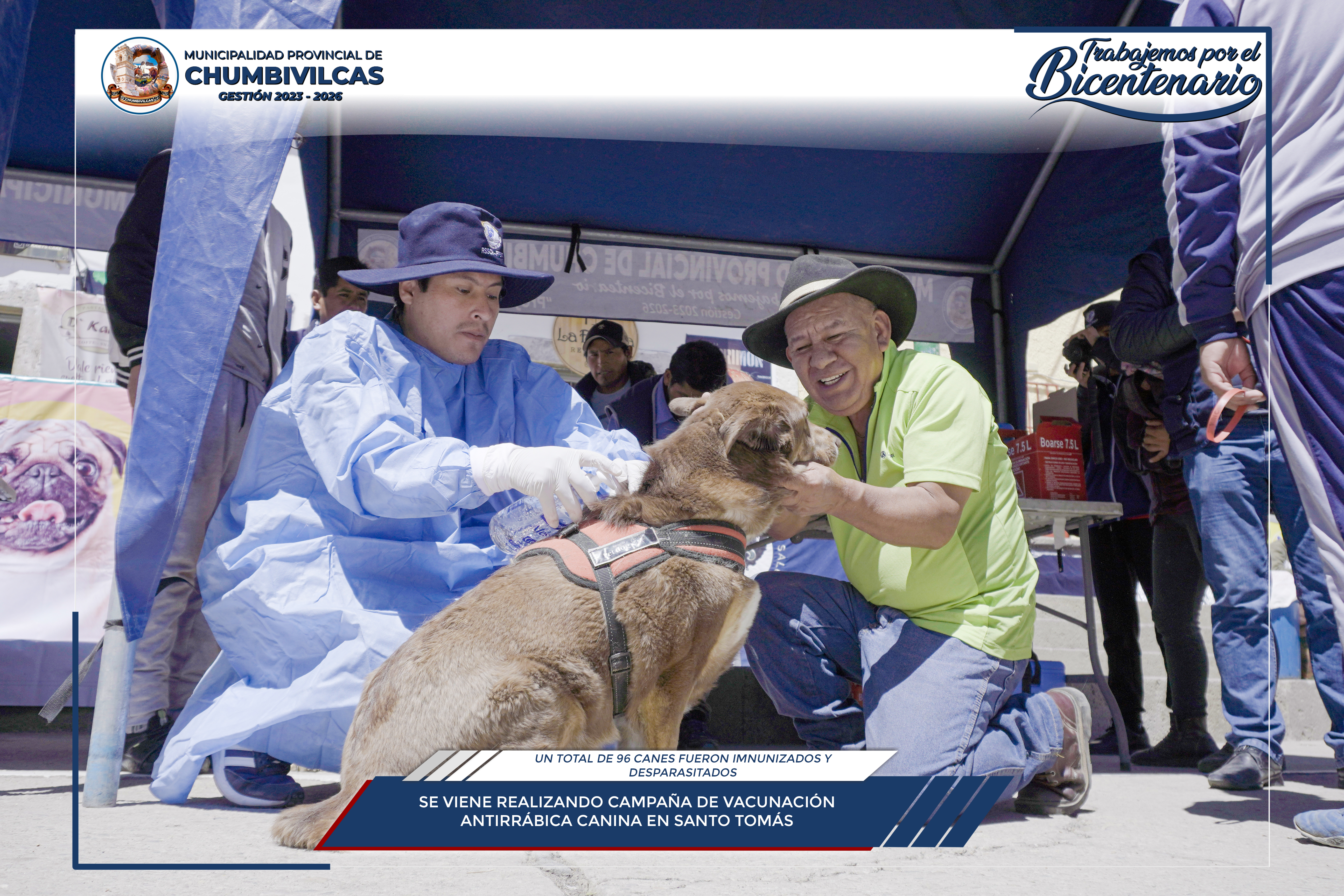 Chumbivilcas realiza campaña de vacunación antirrábica y desparasitación canina en el distrito de Santo Tomás
