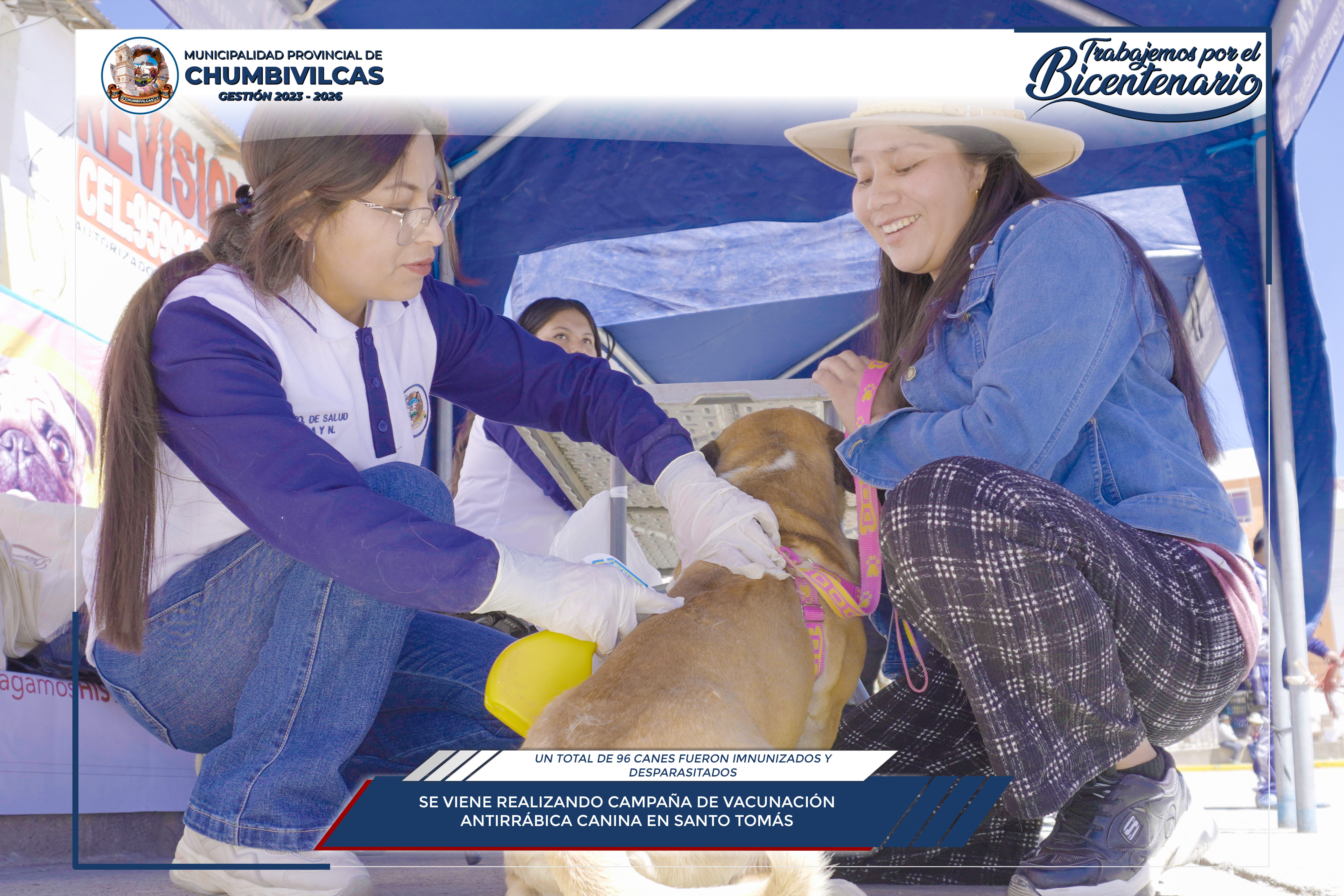 Chumbivilcas realiza campaña de vacunación antirrábica y desparasitación canina en el distrito de Santo Tomás