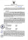 Vista preliminar de documento RGSR N° 241
