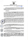Vista preliminar de documento RGSR N° 247
