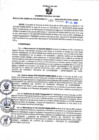 Vista preliminar de documento RGSR N° 249