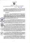 Vista preliminar de documento RGSR N° 250