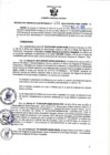 Vista preliminar de documento RGSR N° 252