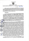 Vista preliminar de documento RGSR N° 254