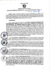 Vista preliminar de documento RGSR N° 255