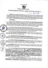 Vista preliminar de documento RGSR N° 262