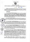 Vista preliminar de documento RGSR N° 265
