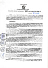Vista preliminar de documento RGSR N° 267