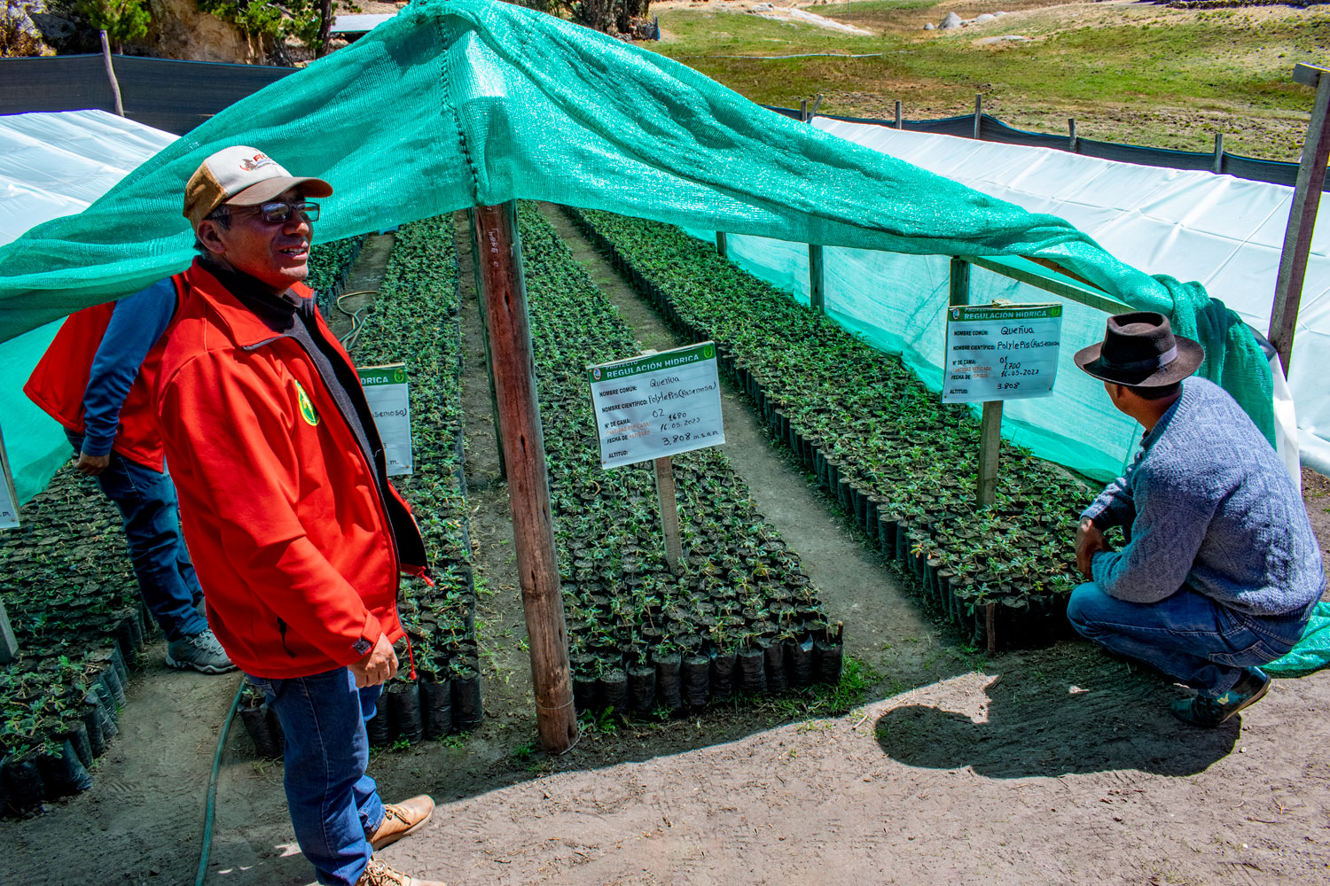 Vivero en la comunidad de Huaraca, distrito de Vinchos