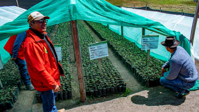 Vivero en la comunidad de Huaraca, distrito de Vinchos