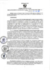 Vista preliminar de documento RGSR N° 271