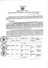 Vista preliminar de documento RGSR N° 272