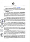 Vista preliminar de documento RGSR N° 274