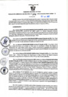 Vista preliminar de documento RGSR N° 276