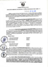 Vista preliminar de documento RGSR N° 278