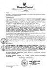 Vista preliminar de documento RESOLUCION DIRECTORAL N° 390 - 2023