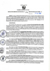 Vista preliminar de documento RGSR N° 291