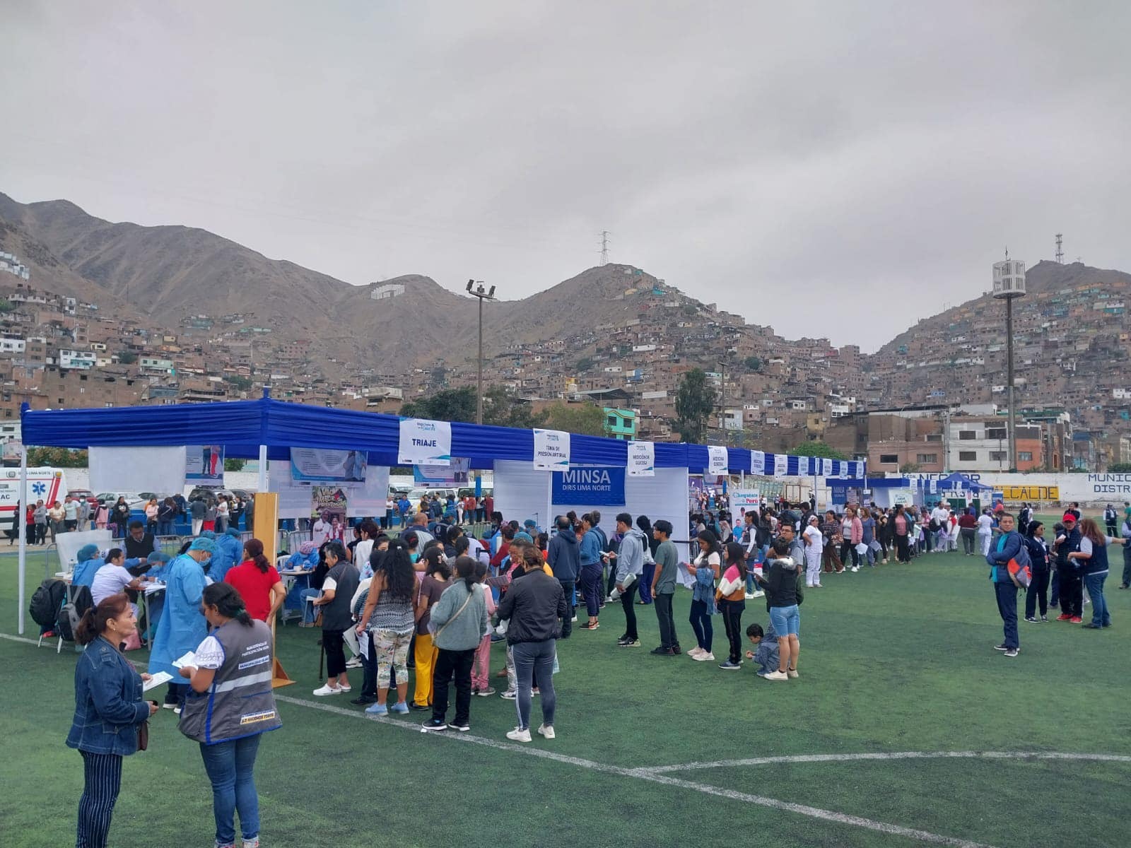 Megaferia - 5