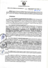 Vista preliminar de documento RGSR N° 294
