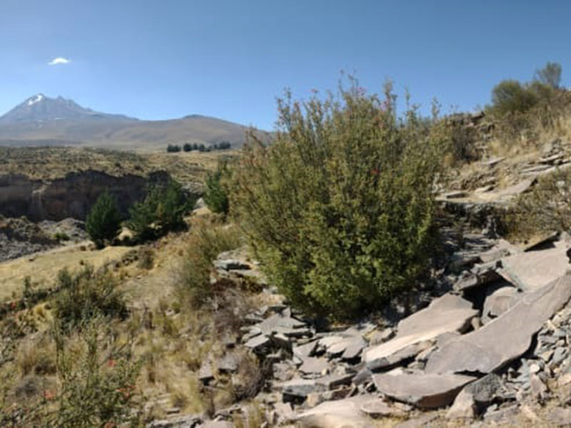 formalizacion-minera-campo