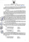 Vista preliminar de documento RGSR N° 300