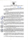 Vista preliminar de documento RGSR N° 301