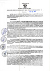 Vista preliminar de documento RGSR N° 302
