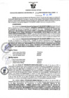 Vista preliminar de documento RGSR N° 306