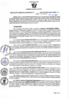 Vista preliminar de documento RGSR N° 310