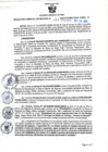 Vista preliminar de documento RGSR N° 311