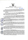 Vista preliminar de documento RGSR N° 313
