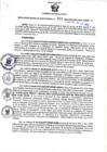 Vista preliminar de documento RGSR N° 315